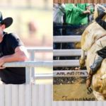 J.B. Mauney Net Worth