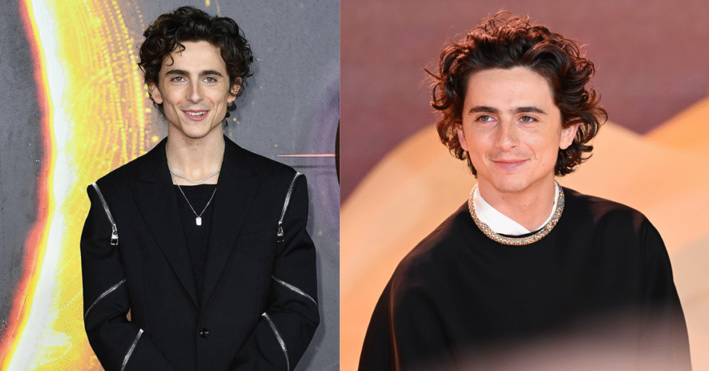 Timothee Chalamet Net Worth