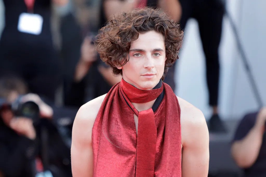 Timothee Chalamet Net Worth