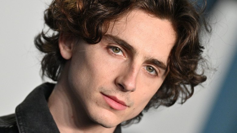 Timothee Chalamet Net Worth